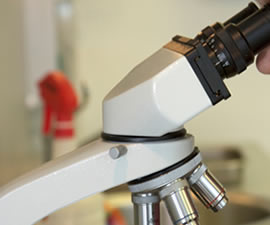 Image of someone using a microscope