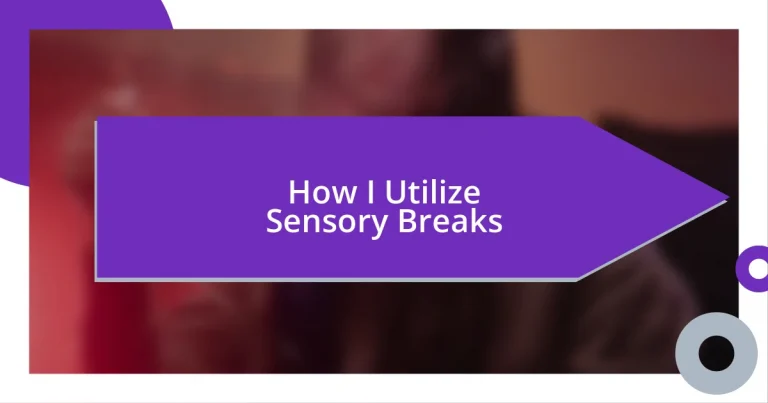 How I Utilize Sensory Breaks